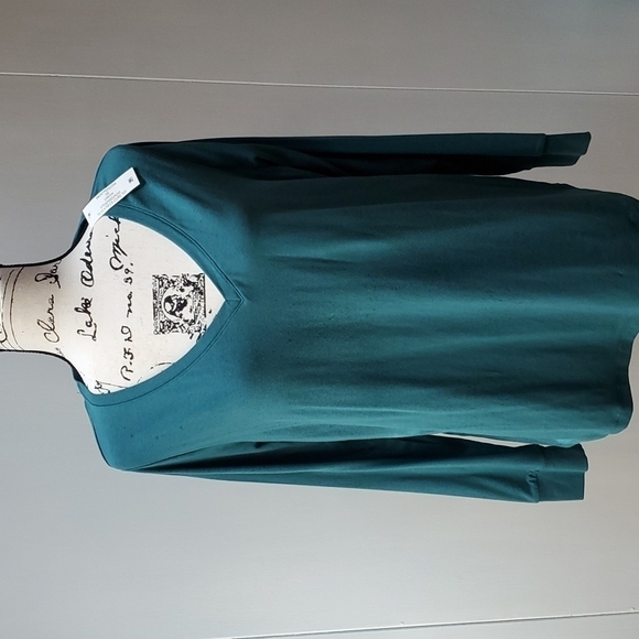 Terra & Sky Tops - Womens Green Longsleeve Tshirt NWT Vneck  Sz.14W
